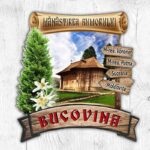 Magnet decorativ de frigider - Papirus cu săgeți